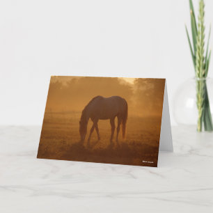 Bob Langrish Horse Grasing Sunrise Kort