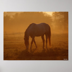 Bob Langrish   Horse Grasing Sunrise Poster