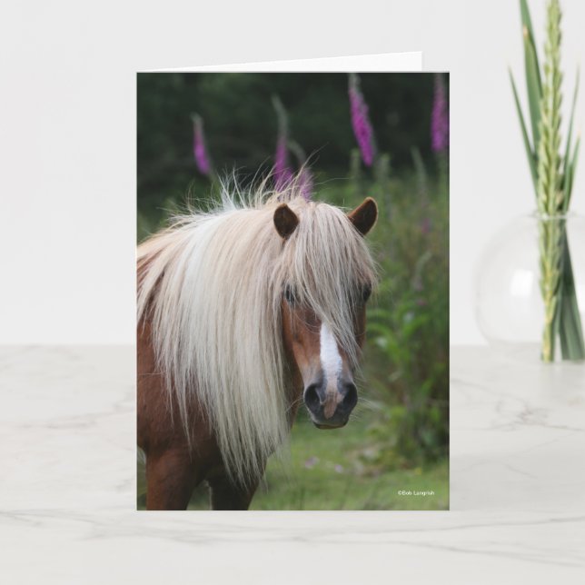 Bob Langrish | Huvudet Shetland Pony med blommor Kort (Framsida)