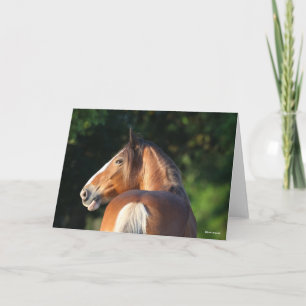 Bob Langrish Huvudskott från Clydesdale Horse Kort