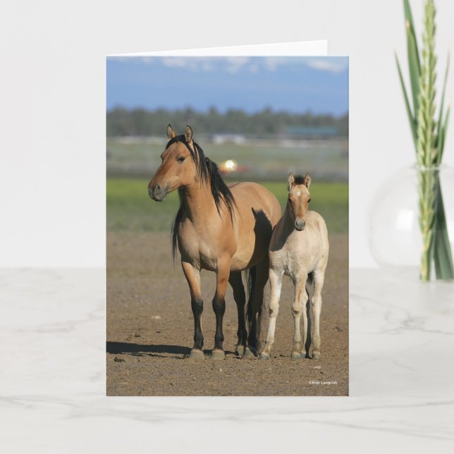 Bob Langrish Kiger Mustang Mare and Foal Standing Kort (Framsida)