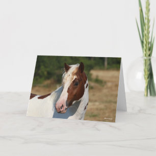 Bob Langrish Korpringefära Stallion Headshot Kort