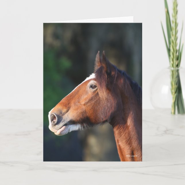 Bob Langrish | Ljudskott från Clydesdale Kort (Framsida)