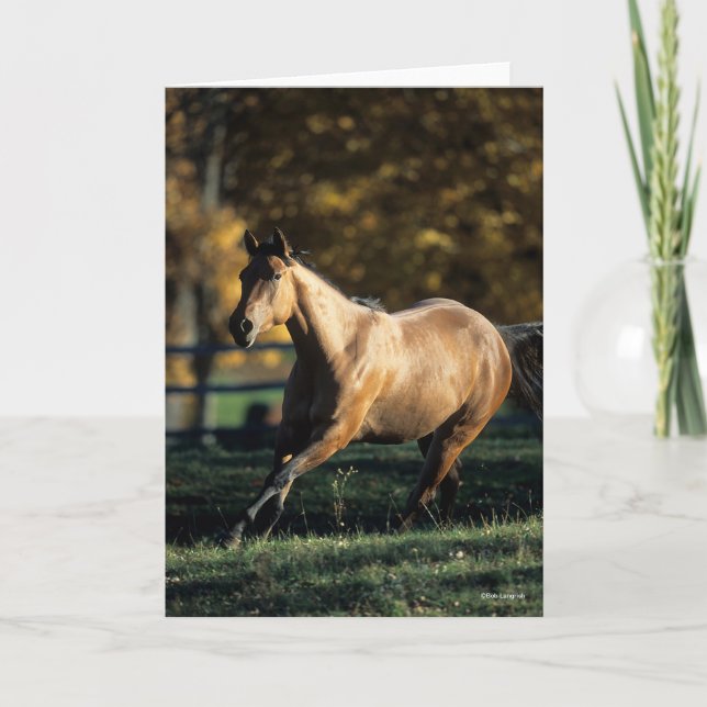 Bob Langrish | Löpande ringpärmshäst Kort (Framsida)