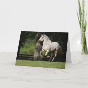 Bob Langrish Lusitano Horse Running Kort