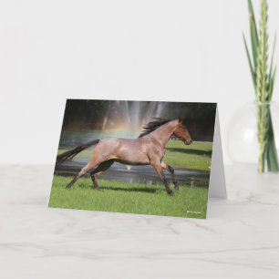 Bob Langrish Mangalarga Horse Running Rainbow Kort