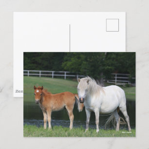 Bob Langrish Miniature Pony Mare and Foal Permanen Vykort
