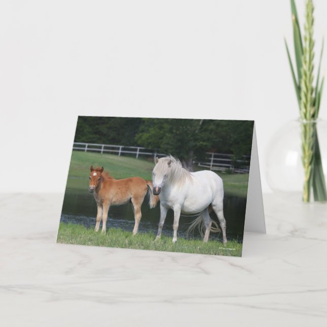Bob Langrish Miniature Pony Mare and Foal Standing Kort (Framsida)