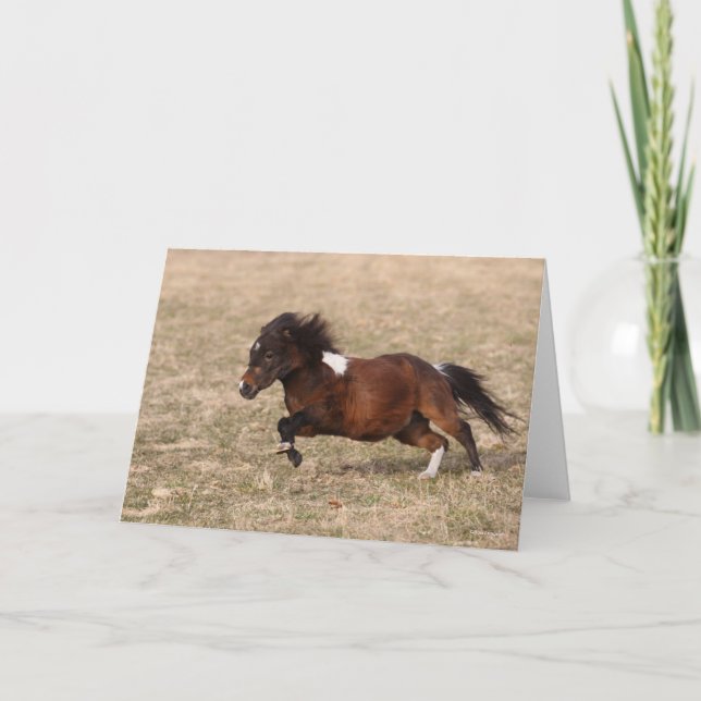 Bob Langrish | Miniature Pony Running Fast Kort (Framsida)