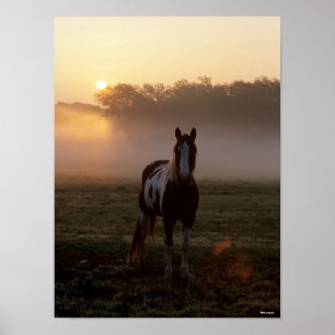Bob Langrish   Paint Horse Permanent Mist Sunrise Poster