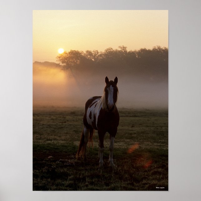 Bob Langrish | Paint Horse Permanent Mist Sunrise Poster (Framsidan)