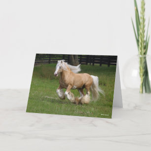 Bob Langrish Palomino Gypsy Vanner Horse Running Kort