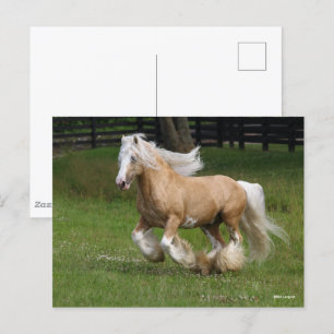Bob Langrish   Palomino Gypsy Vanner Horse Running Vykort