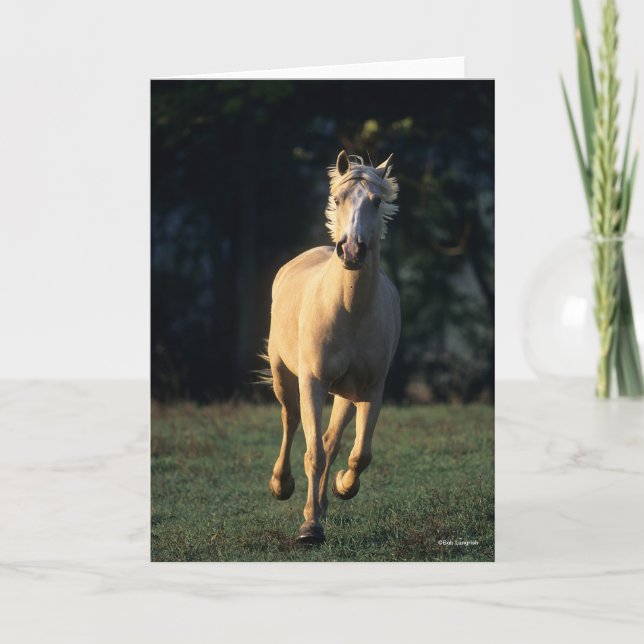 Bob Langrish | Palomino Horse Running Backlit Kort (Framsida)