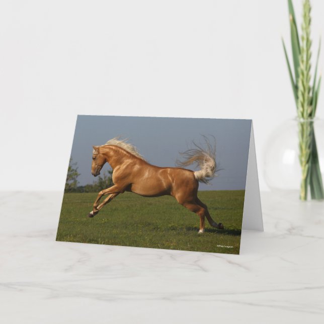 Bob Langrish | Palomino Lusitano Stallion Leaping Kort (Framsida)