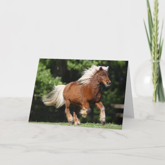 Bob Langrish | Palomino Miniature Pony Running Kort (Framsida)