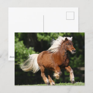 Bob Langrish Palomino Miniature Pony Running Vykort