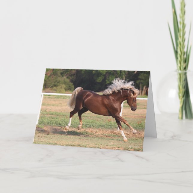 Bob Langrish | Palomino Morgan Horse Bucking Kort (Framsida)