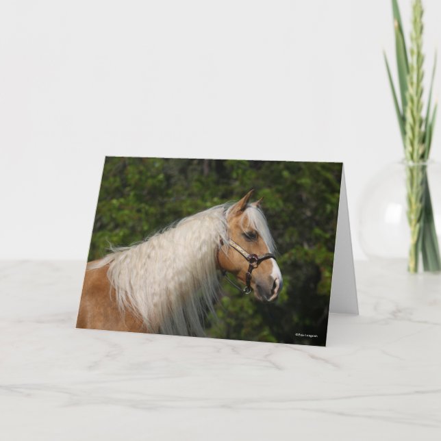 Bob Langrish | Palomino Quarter Horse Headshot Kort (Framsida)
