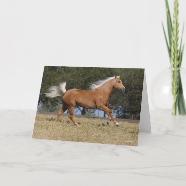 Bob Langrish | Palomino Quarter Horse Running Kort (Framsida)