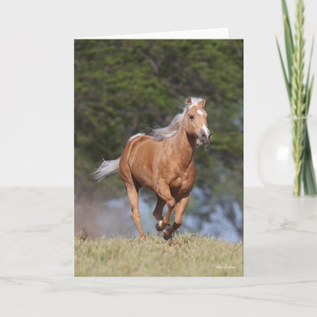 Bob Langrish | Palomino Quarter Horse Running Kort (Framsida)