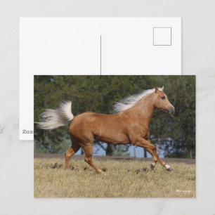 Bob Langrish Palomino Quarter Horse Running Vykort
