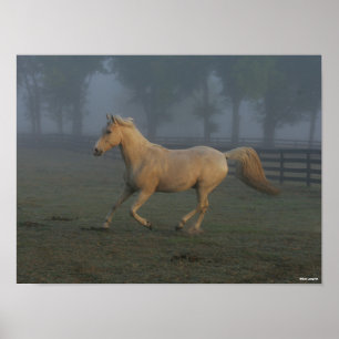 Bob Langrish Palomino Tennessee Walker i Mist Poster