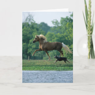Bob Langrish Palomino Tennessee Walker och Hund Kort