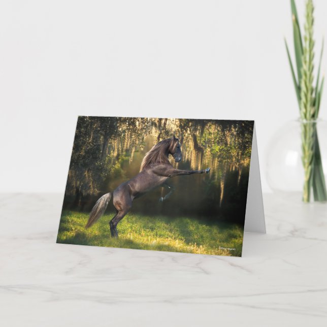 Bob Langrish | Rening av Rocky Mountain Horse Kort (Framsida)