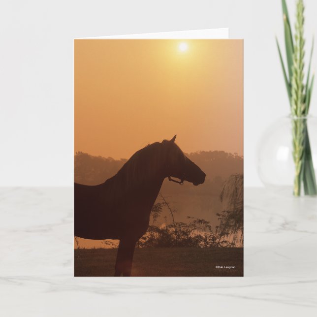 Bob Langrish | Rocky Mountain Horse Silhouette Kort (Framsida)