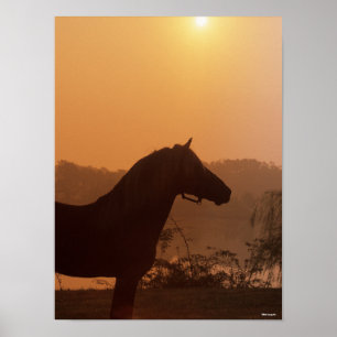 Bob Langrish   Rocky Mountain Horse Silhouette Poster