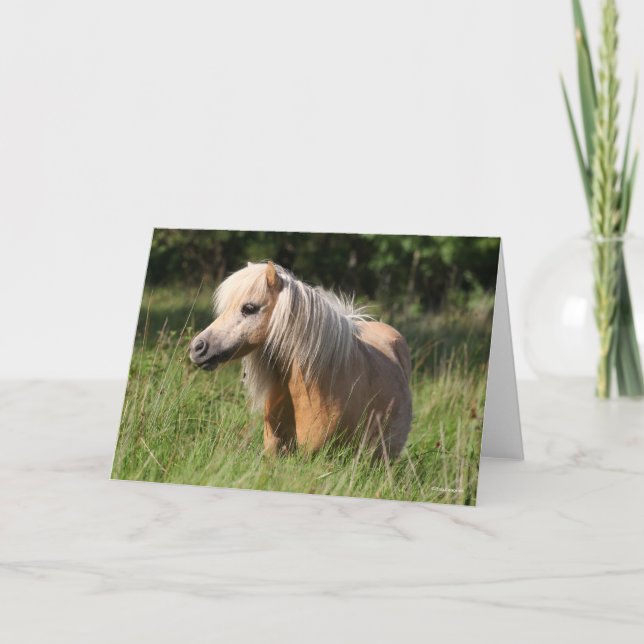 Bob Langrish Shetland Pony permanent i Long Grass Kort (Framsida)