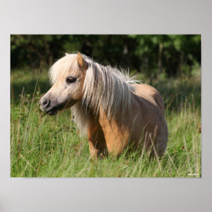 Bob Langrish Shetland Pony permanent i Long Grass Poster