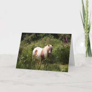 Bob Langrish Shetland Pony Permanent in Flowers Kort