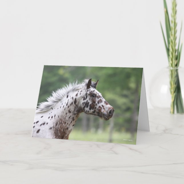 Bob Langrish | Spotty Knapstrupper Headshot Kort (Framsida)