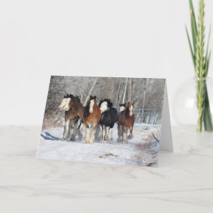 Bob Langrish   Stam av Clydesdales i Snö Kort