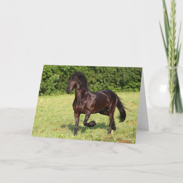 Bob Langrish | Svart frisisk häst som rullar Kort (Framsida)