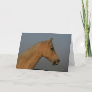 Bob Langrish Tennessee Walker Misty Headshot Kort