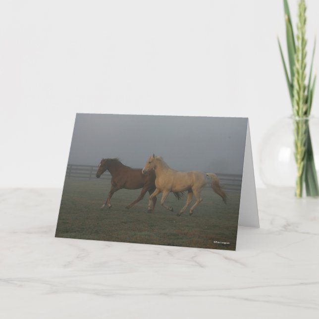 Bob Langrish | Tennessee Walking Horses Running Kort (Framsida)