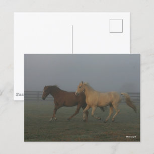 Bob Langrish Tennessee Walking Horses Running Vykort