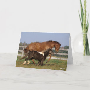Bob Langrish Thoroughavin and Shetland Pony Kort