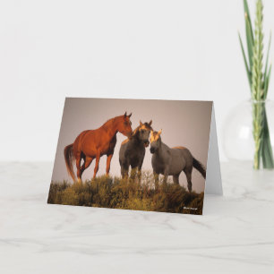 Bob Langrish Three Arab Horses på Sunset Kort