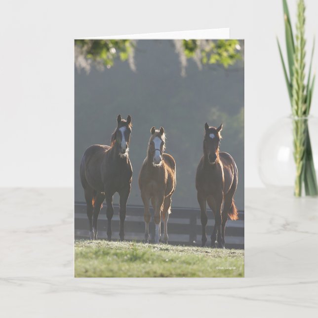 Bob Langrish | Three Quarter Horse Youngsters Kort (Framsida)