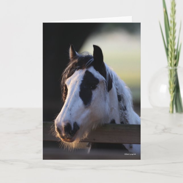 Bob Langrish | tittar av zigenare över stängsel Kort (Framsida)