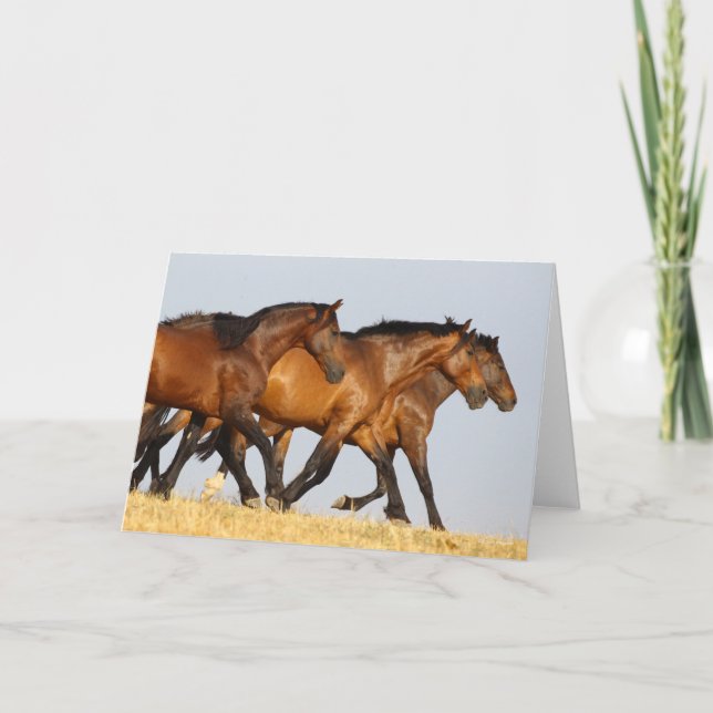 Bob Langrish | Tre Andalusiska mares Running Kort (Framsida)