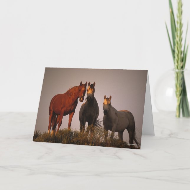 Bob Langrish | Tre araber stående i solnedgången Kort (Framsida)