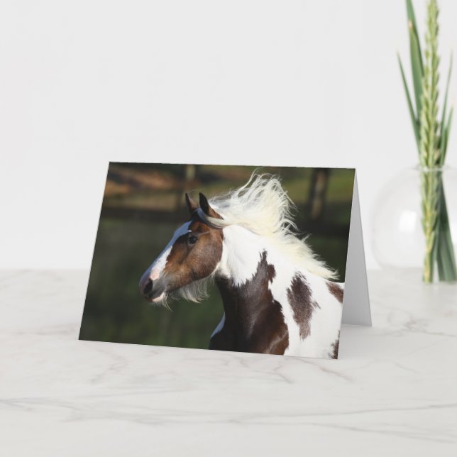 Bob Langrish | Trumhorshögskott Kort (Framsida)