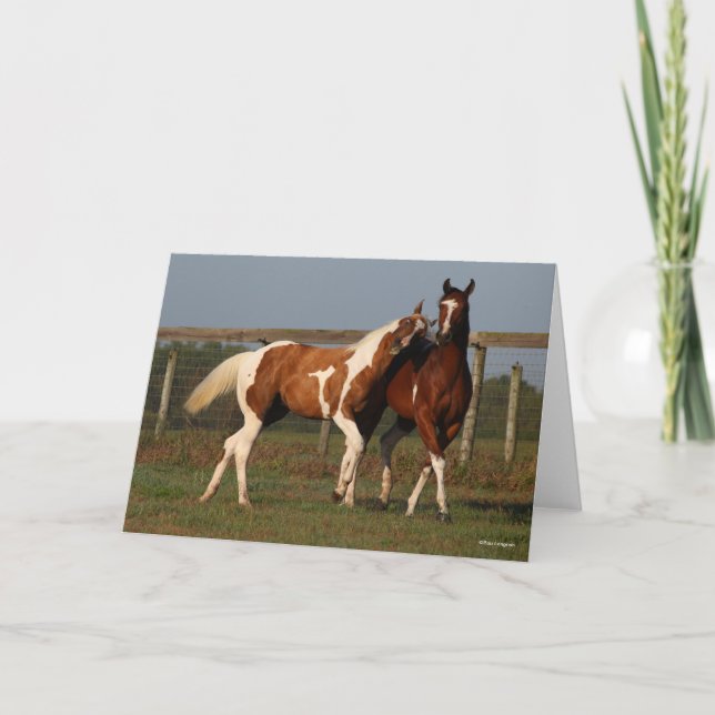 Bob Langrish | Två målarter som spelas ihop Kort (Framsida)