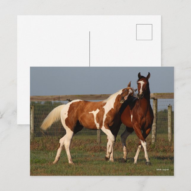 Bob Langrish | Två målarter som spelas ihop Vykort (Fram/baksida)