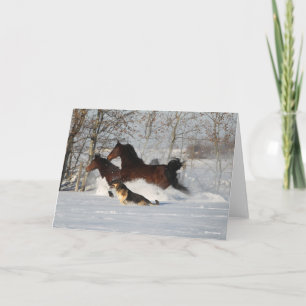 Bob Langrish   Två Morgan Horses och Hund i Snö Kort